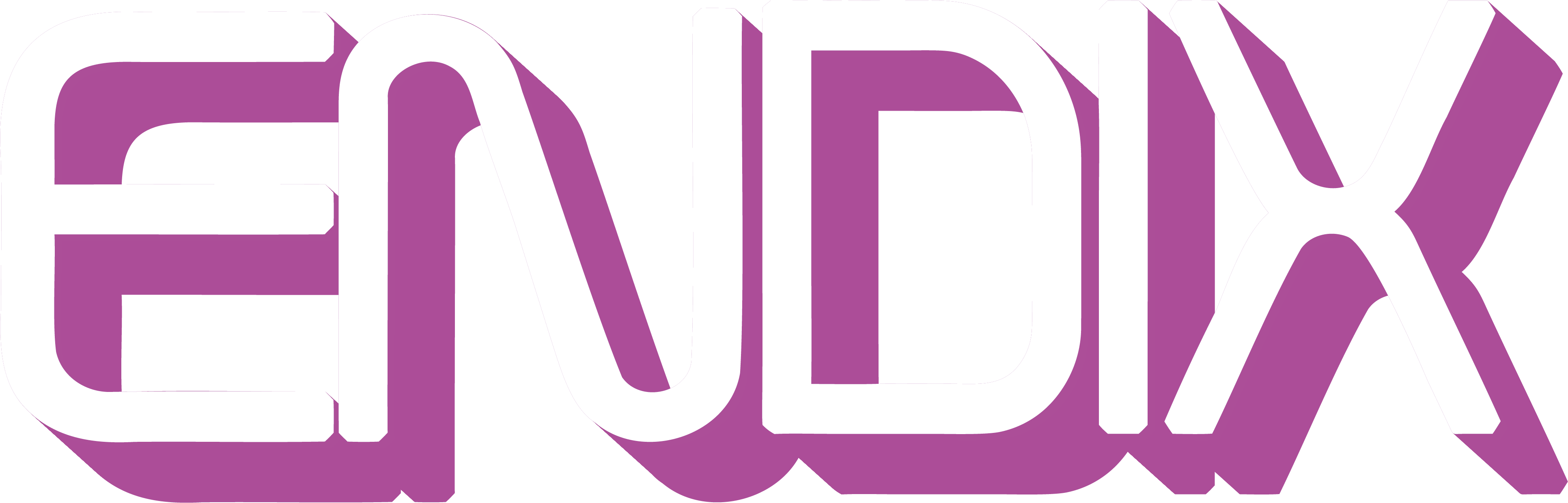 Endix